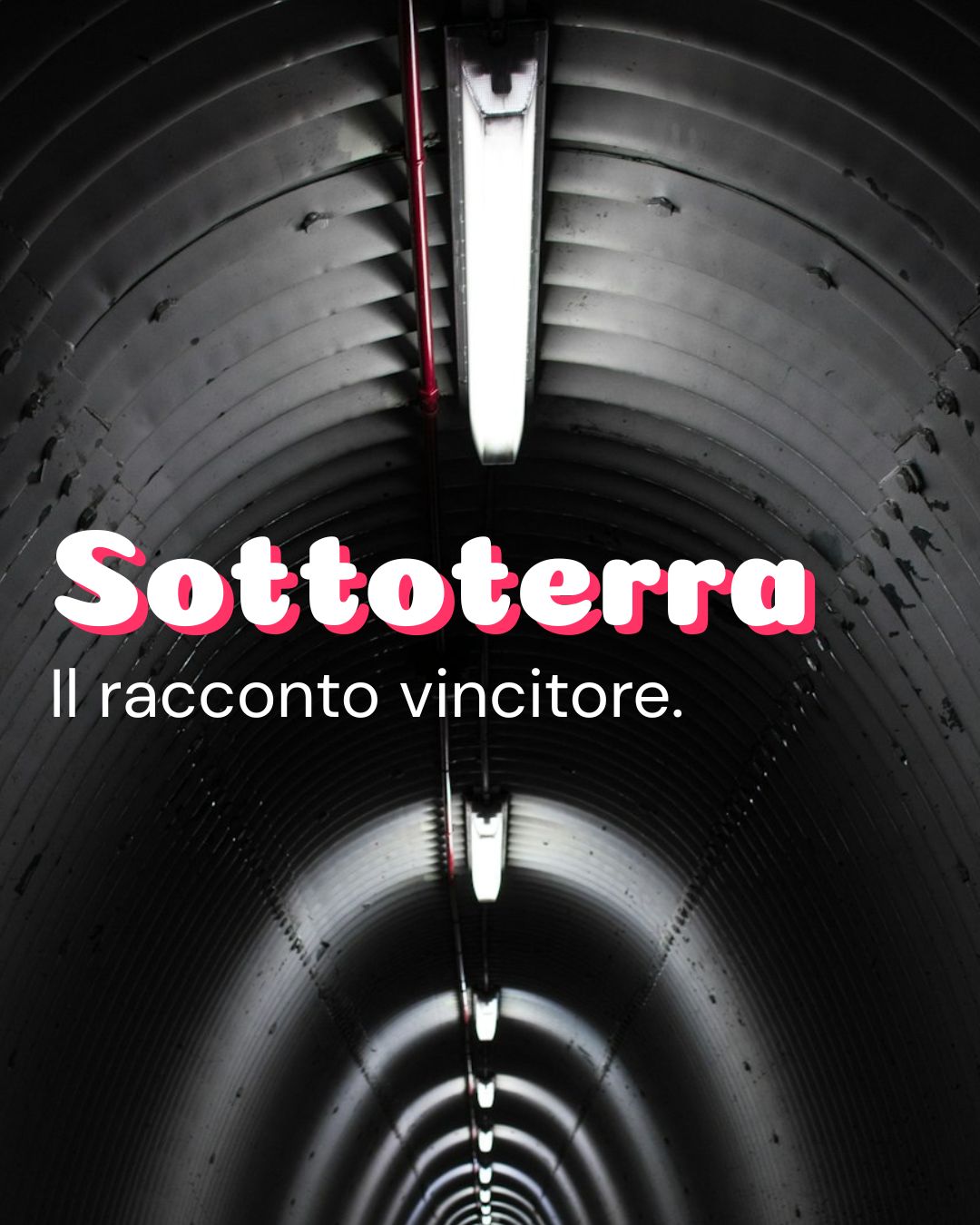 La Zona Umida, di Stefano Castelvetri